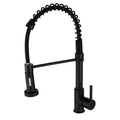 Pull-Down Kitchen Faucet, Brass with Spring Spout