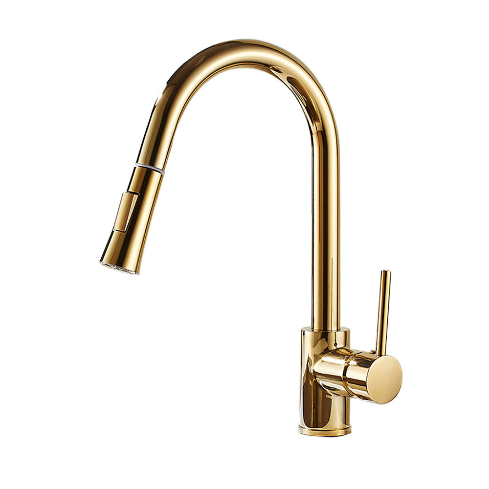 Pull-Out Kitchen Faucet, Gold Finish
