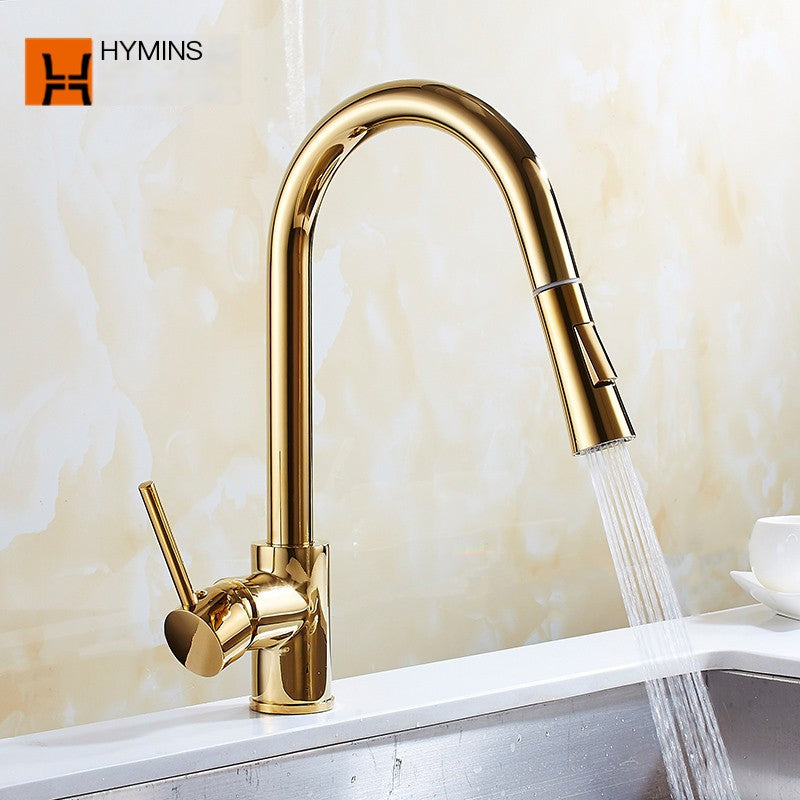 Pull-Out Kitchen Faucet, Gold Finish